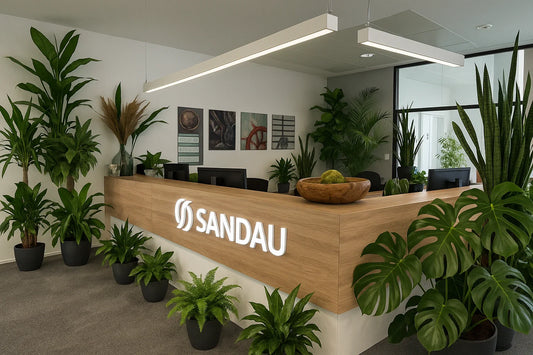 Nachhaltigkeit im Büro