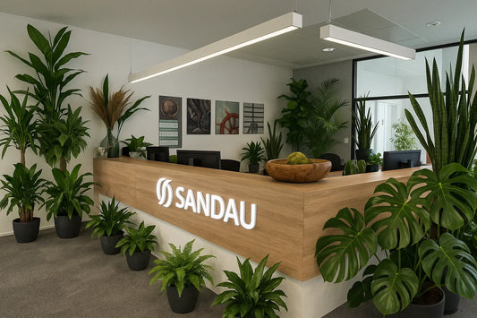 Nachhaltigkeit im Büro