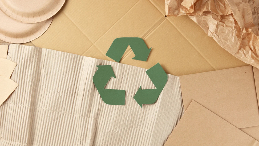 Recycling leicht gemacht - So trennt ihr richtig