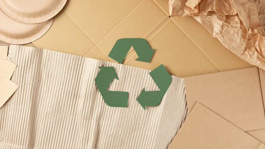 Recycling leicht gemacht - So trennt ihr richtig